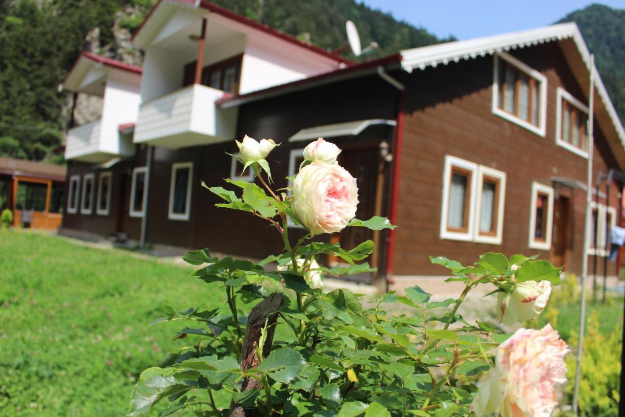 Uzungol Selale Otel Bungalow מראה חיצוני תמונה