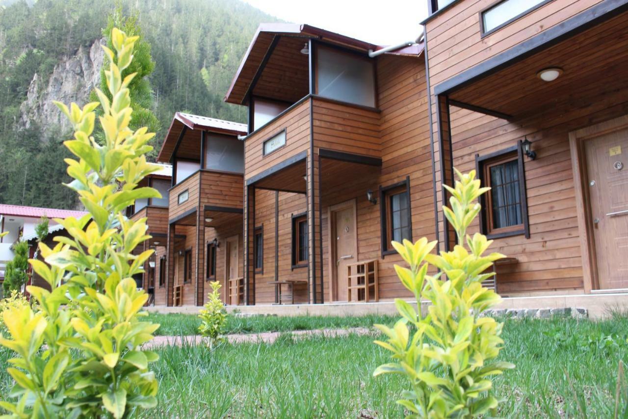 Uzungol Selale Otel Bungalow מראה חיצוני תמונה